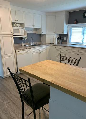 10119 103 Avenue, Lac La Biche, AB - Indoor Photo Showing Kitchen With Double Sink