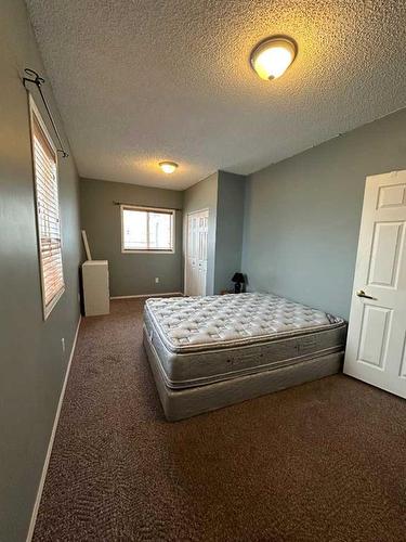 368 Grey Crescent, Fort Mcmurray, AB - Indoor Photo Showing Bedroom