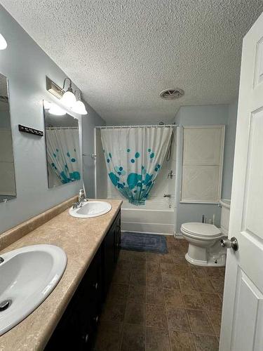 368 Grey Crescent, Fort Mcmurray, AB - Indoor Photo Showing Bathroom