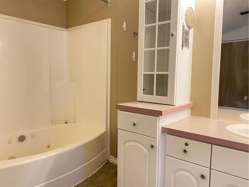 397 Cree Road, Fort Mcmurray, AB - Indoor Photo Showing Bathroom