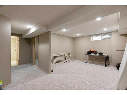 269 Ball Place, Fort Mcmurray, AB - Indoor Photo Showing Basement