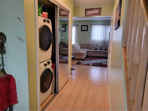 218 Windsor Drive, Fort Mcmurray, AB - Indoor Photo Showing Laundry Room