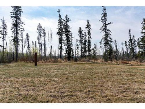 252 Burton Place, Fort Mcmurray, AB - Outdoor With View
