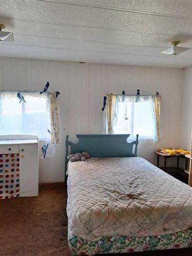 63146 Hwy 867, Rural Lac La Biche County, AB - Indoor Photo Showing Bedroom