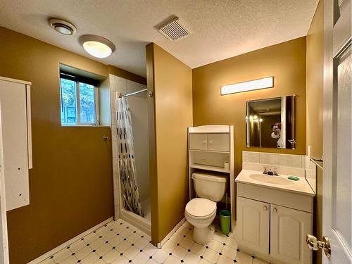 #402-13379 Twp Rd 670 (100 Cathy'S Drive) Holowachuk Estates, Lac La Biche, AB - Indoor Photo Showing Bathroom