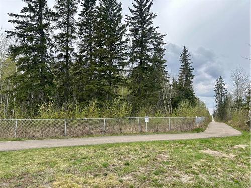 #402-13379 Twp Rd 670 (100 Cathy'S Drive) Holowachuk Estates, Lac La Biche, AB - Outdoor With View