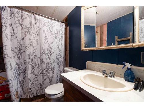 650041 Rr 195 Boyle, Rural Athabasca County, AB - Indoor Photo Showing Bathroom