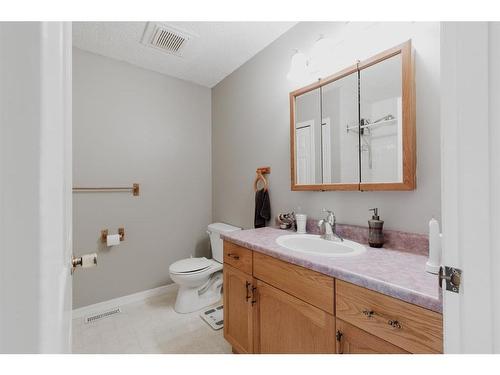 221 Sitka Drive, Fort Mcmurray, AB - Indoor Photo Showing Bathroom
