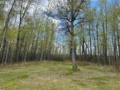 67238 881 Highway, Rural Lac La Biche County, AB - Outdoor With View