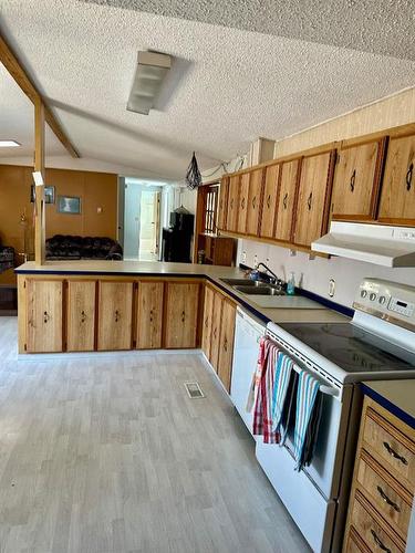 67238 881 Highway, Rural Lac La Biche County, AB - Indoor Photo Showing Kitchen With Double Sink