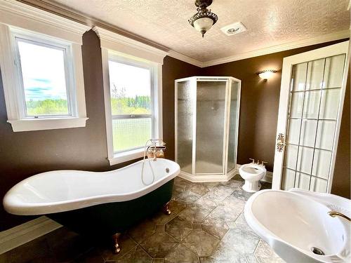15549  Township Road 694, Plamondon, AB - Indoor Photo Showing Bathroom