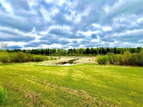 15549  Township Road 694, Plamondon, AB - Outdoor With View