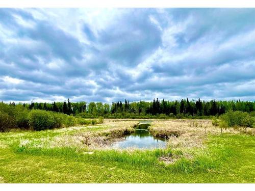 15549  Township Road 694, Plamondon, AB - Outdoor With View