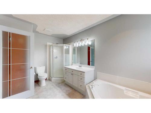 307 Berard Crescent, Fort Mcmurray, AB - Indoor Photo Showing Bathroom