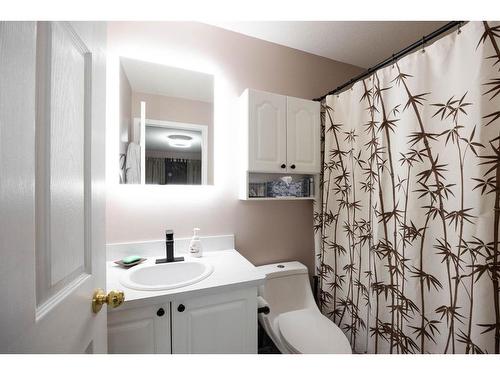 221 Waniandy Way, Fort Mcmurray, AB - Indoor Photo Showing Bathroom