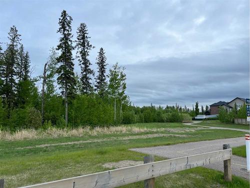 292 Starling Street, Fort Mcmurray, AB - Outdoor With View