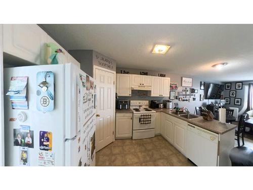 271 Mustang Road, Fort Mcmurray, AB - Indoor Photo Showing Kitchen With Double Sink
