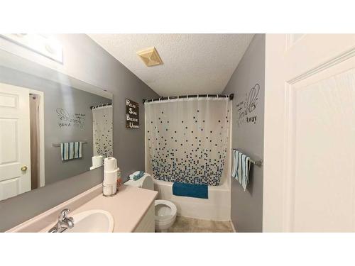 271 Mustang Road, Fort Mcmurray, AB - Indoor Photo Showing Bathroom