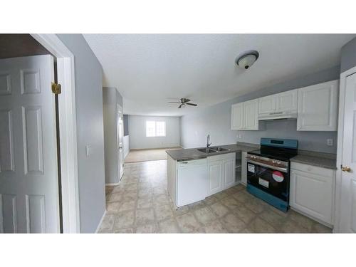 275 Mustang Road, Fort Mcmurray, AB - Indoor Photo Showing Kitchen With Double Sink