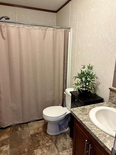 13561 654 Township, Rural Lac La Biche County, AB - Indoor Photo Showing Bathroom
