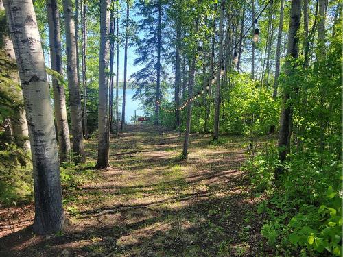 Lot 2 #46  191039 Twp Rd 652, Rural Athabasca County, AB 