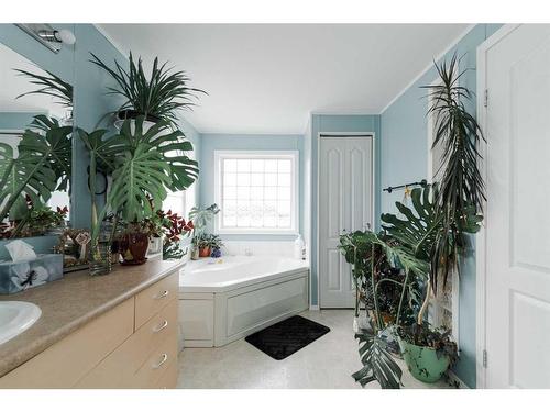 156 Palomino Close, Fort Mcmurray, AB - Indoor Photo Showing Bathroom