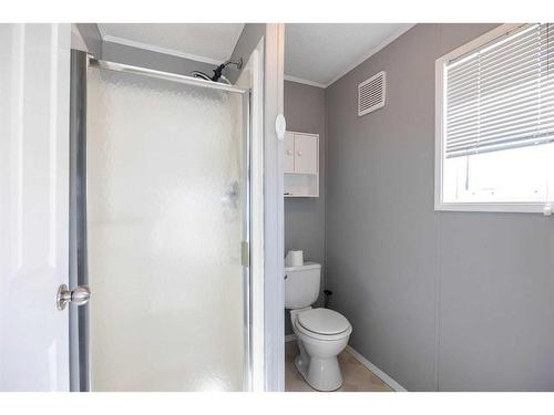 296 Cree Road, Fort Mcmurray, AB - Indoor Photo Showing Bathroom