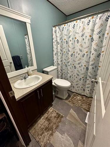 209 Greely Road, Fort Mcmurray, AB - Indoor Photo Showing Bathroom