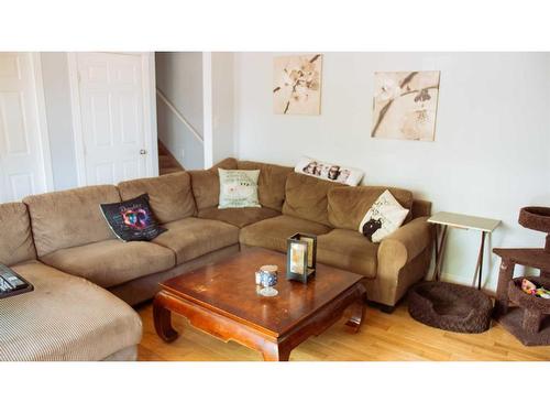 125 Cameron Drive, Fort Mcmurray, AB - Indoor Photo Showing Living Room