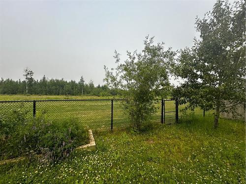 224 Fireweed Crescent, Fort Mcmurray, AB - Outdoor With View