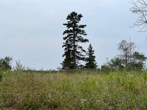 2 19 68 14 W4 Lac La Biche, Rural Lac La Biche County, AB 