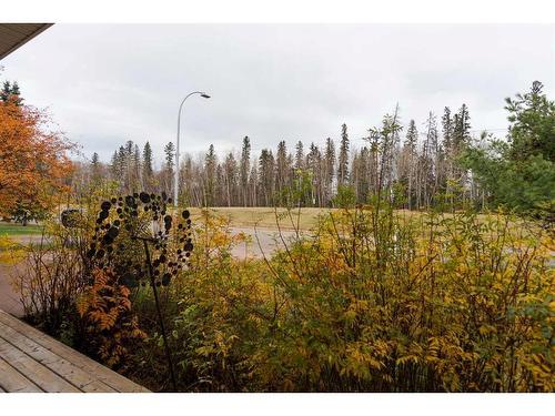 173 Woodland Drive, Fort Mcmurray, AB - Outdoor