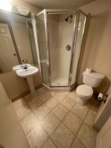 1308-38 Riedel Street, Fort Mcmurray, AB - Indoor Photo Showing Bathroom