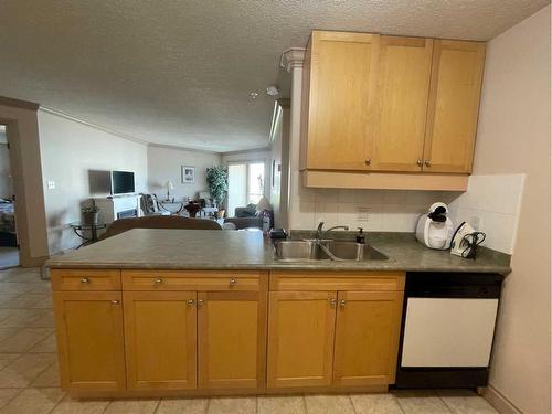 1308-38 Riedel Street, Fort Mcmurray, AB - Indoor Photo Showing Kitchen With Double Sink