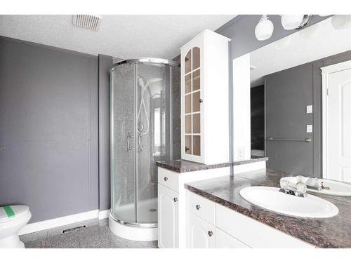 252 Cree Road, Fort Mcmurray, AB - Indoor Photo Showing Bathroom