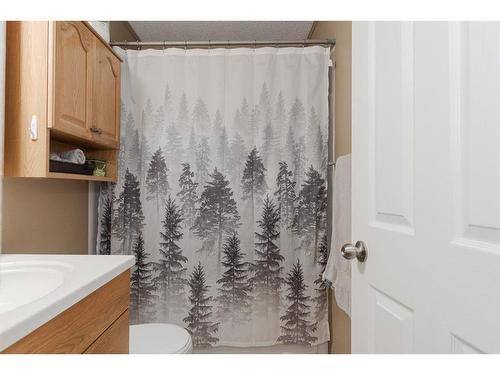 34 Birch Road, Fort Mcmurray, AB - Indoor Photo Showing Bathroom