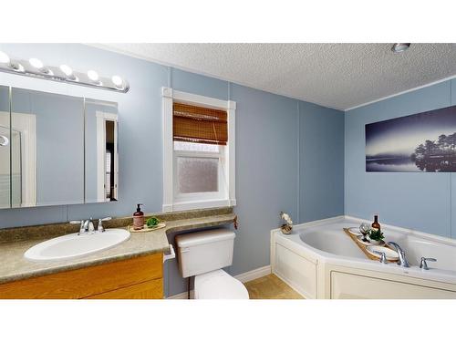 369 Ash Way, Fort Mcmurray, AB - Indoor Photo Showing Bathroom