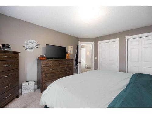 113 Sparrow Hawk Drive, Fort Mcmurray, AB - Indoor Photo Showing Bedroom