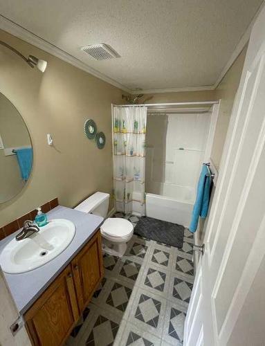 197 Greenwich Lane, Fort Mcmurray, AB - Indoor Photo Showing Bathroom