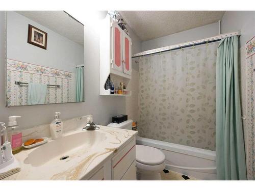 20 Centennial Drive, Fort Mcmurray, AB - Indoor Photo Showing Bathroom