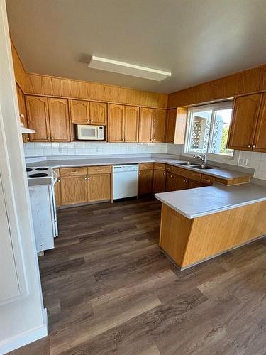 10201 102Nd Street, Lac La Biche, AB - Indoor Photo Showing Kitchen With Double Sink