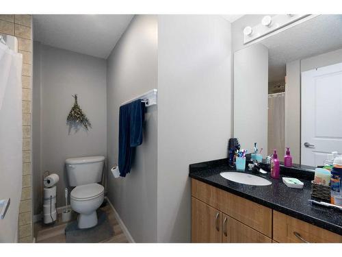 113 Pliska Crescent, Fort Mcmurray, AB - Indoor Photo Showing Bathroom