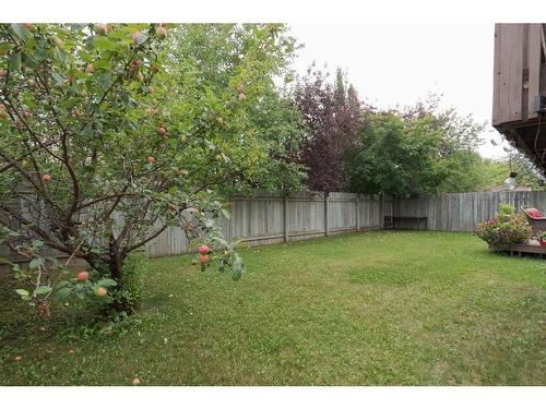 148 Eglert Drive, Fort Mcmurray, AB - Outdoor With Backyard