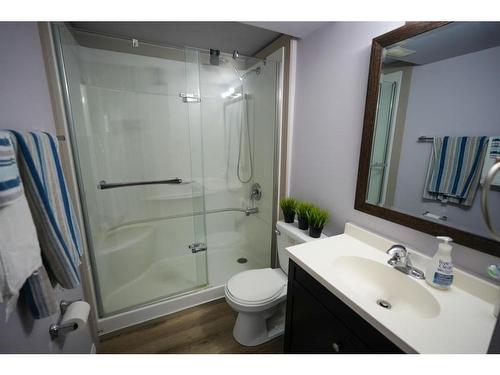 146 Sitka Drive, Fort Mcmurray, AB - Indoor Photo Showing Bathroom