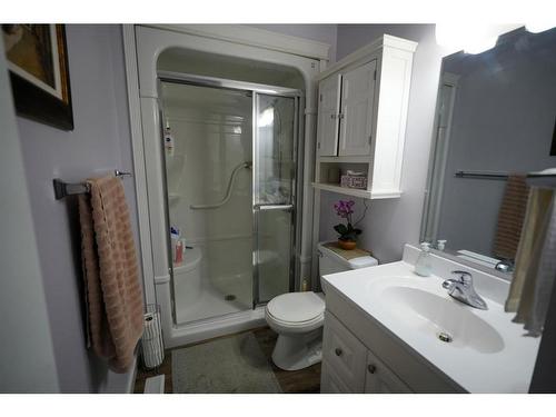 146 Sitka Drive, Fort Mcmurray, AB - Indoor Photo Showing Bathroom