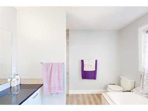 228 Warren Road, Fort Mcmurray, AB - Indoor Photo Showing Bathroom