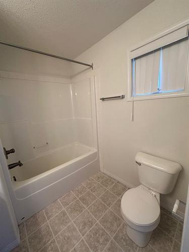 10-97 Wilson Drive, Fort Mcmurray, AB - Indoor Photo Showing Bathroom