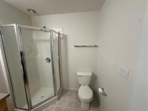 10-97 Wilson Drive, Fort Mcmurray, AB - Indoor Photo Showing Bathroom