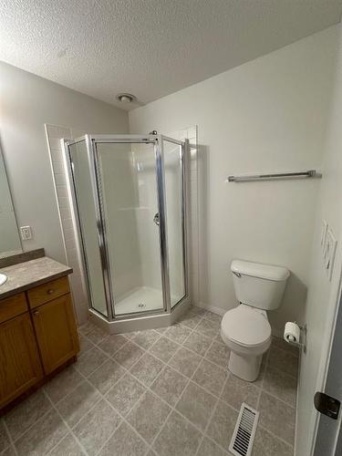 10-97 Wilson Drive, Fort Mcmurray, AB - Indoor Photo Showing Bathroom