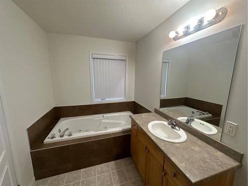 10-97 Wilson Drive, Fort Mcmurray, AB - Indoor Photo Showing Bathroom